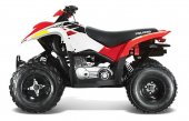 2011 Polaris Phoenix 200 photo